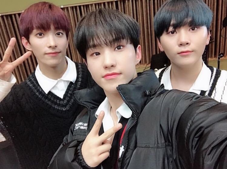 Sorry for being so inactive here but I forgot about this account... TT I will try not to make this mistake again <3