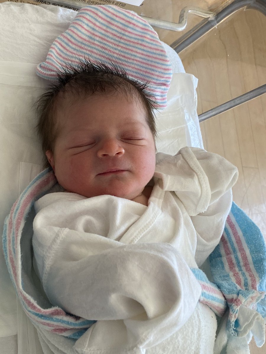 Dr. Fran Bigman tweet media