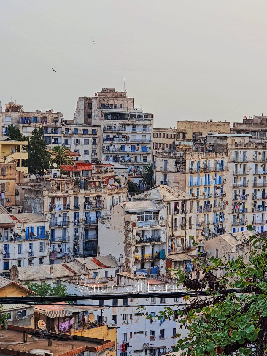 JakePodcast_'s tweet photo. Je la trouve belle 🤎
#Alger https://t.co/myRgB2MX7r