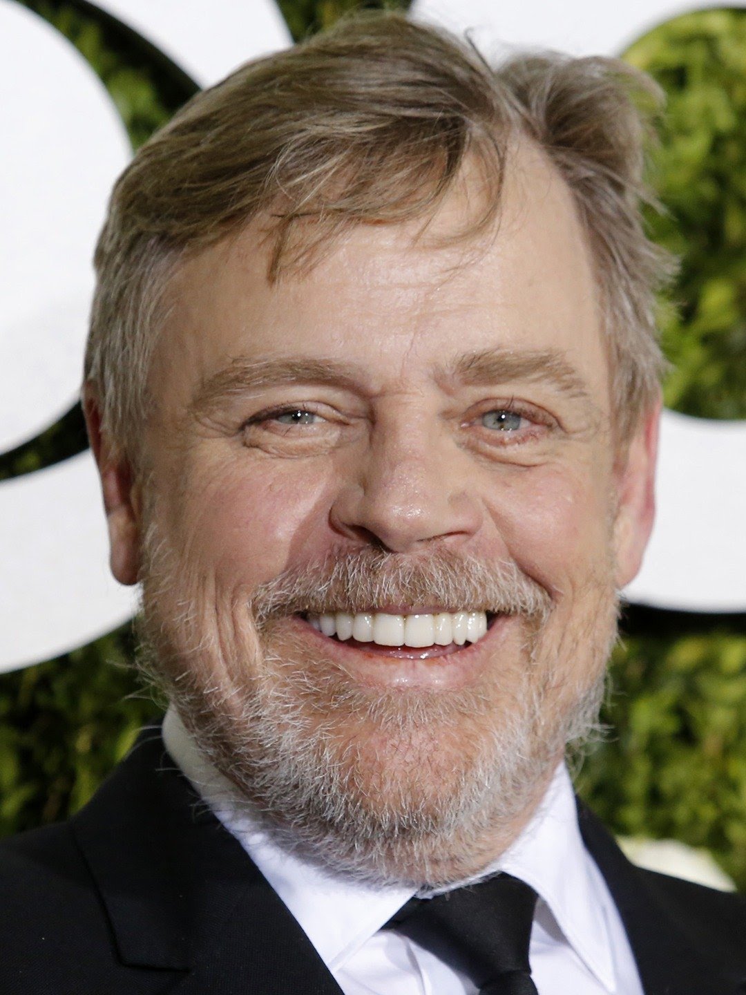 Happy 70th Birthday, Mark Hamill! 