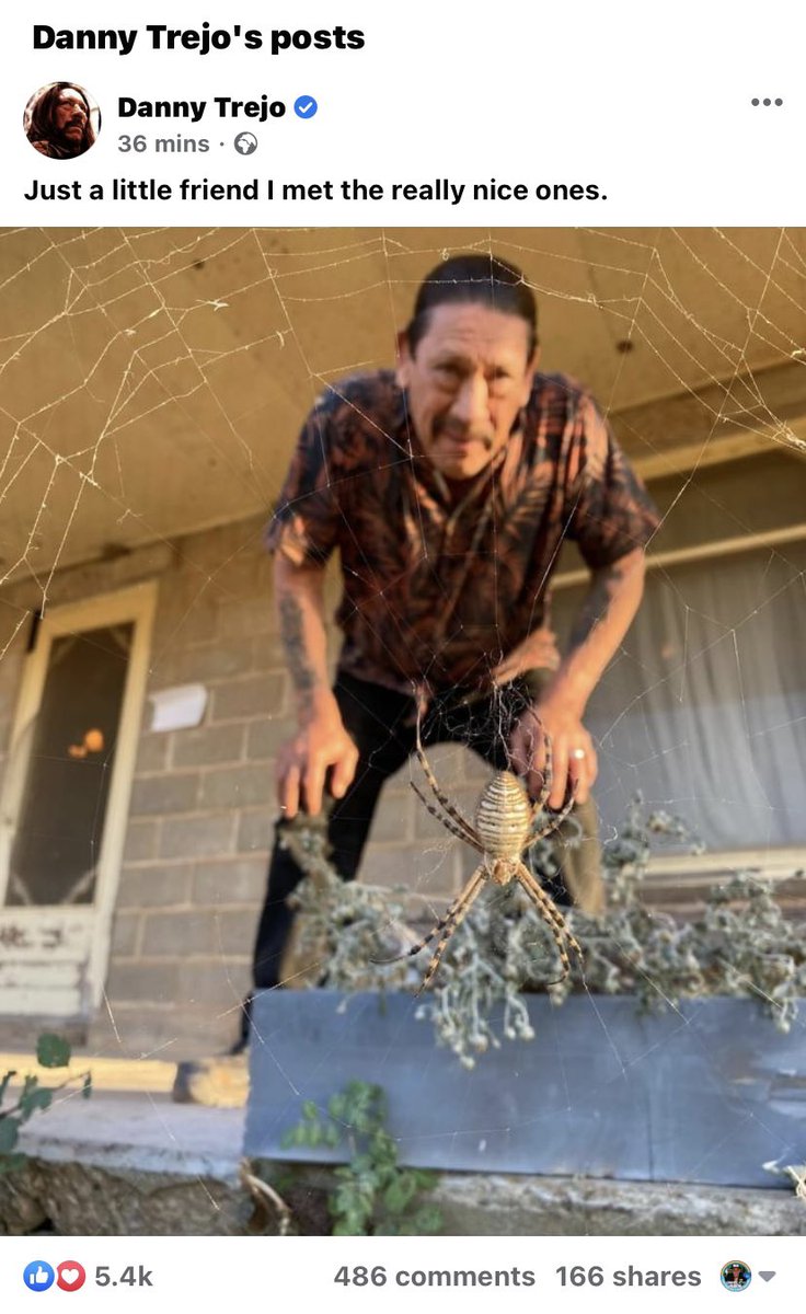 Looks like Danny Trejo from such films as Dusk Till Dawn appreciates a good spider @BritishSpiders 🙂