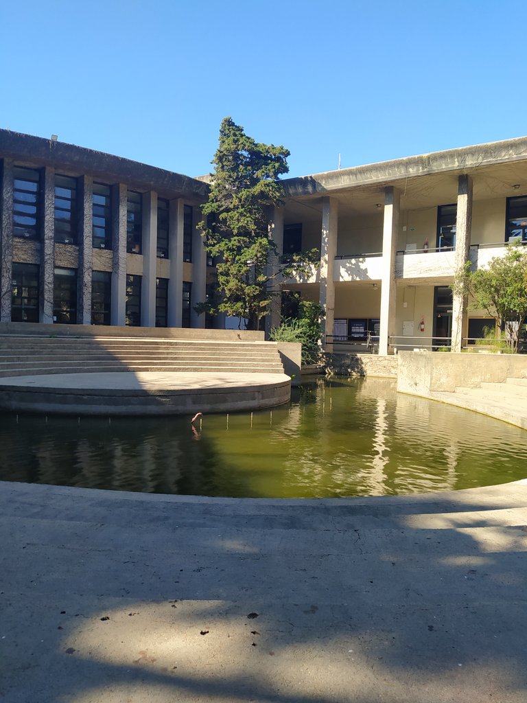 Dahiana 🌷 tweet media