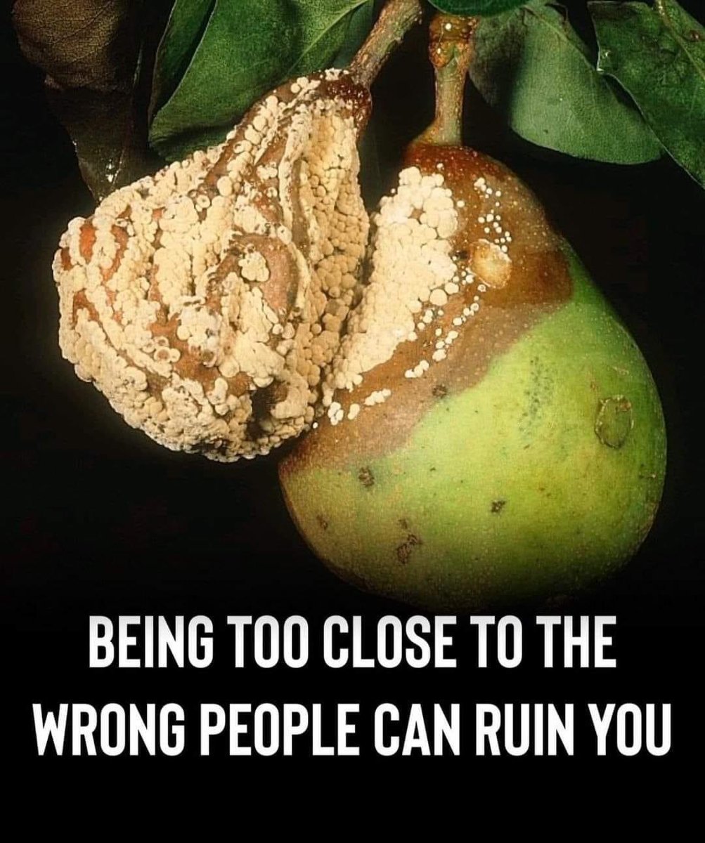 comebackitty's tweet image. Where’s the lie?