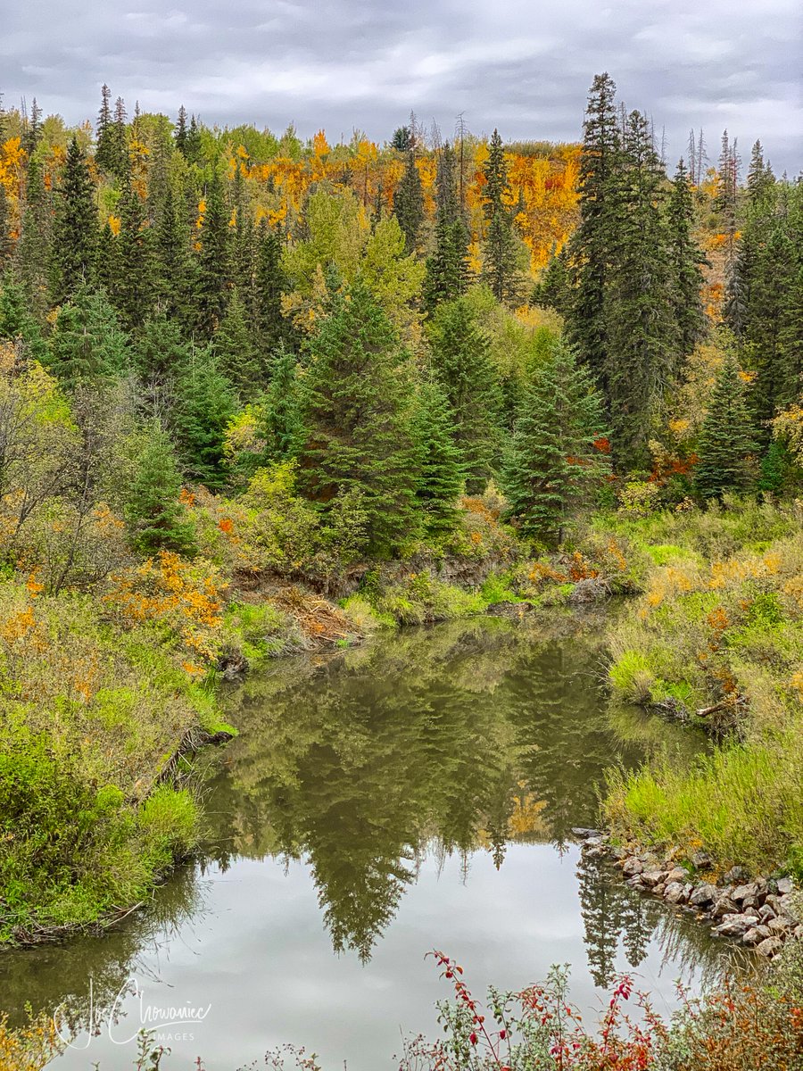 Joe Chowaniec Images tweet media