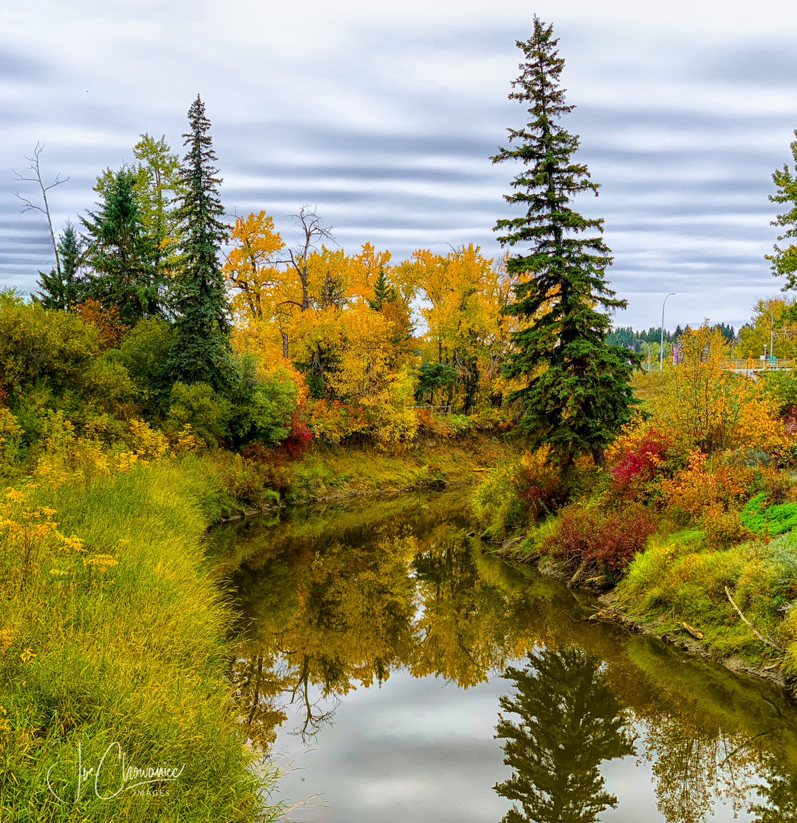 Joe Chowaniec Images tweet media