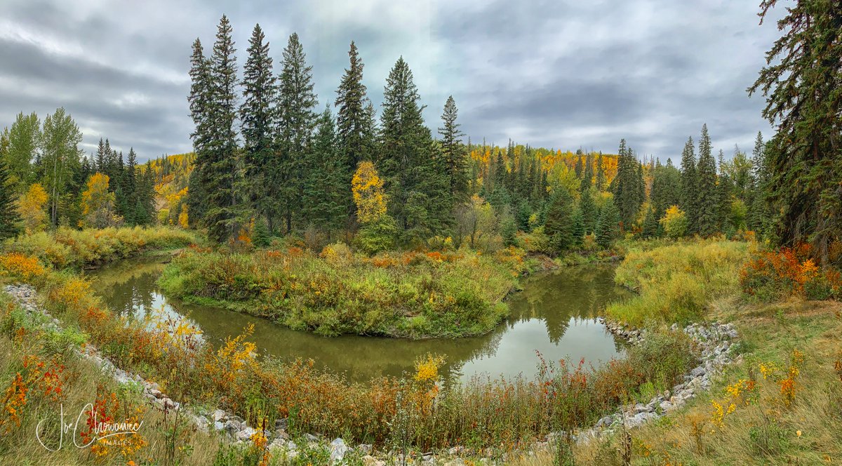 Joe Chowaniec Images tweet media