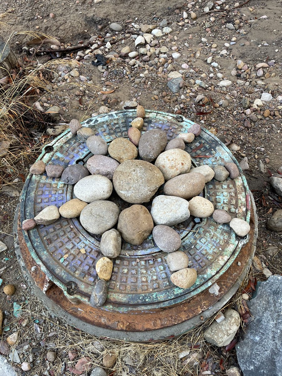 rootsconnectllc's tweet photo. Completed my first remotely guided forest and therapy walk today with amazing participants from Finland, Belgium, California, Michigan, and Illinois. Such a wonderfully rewarding experience. Feeling deep gratitude to the participants, my teachers, and the land! 🙏🏻🤗🌲💚 https://t.co/NH5EXJzv53