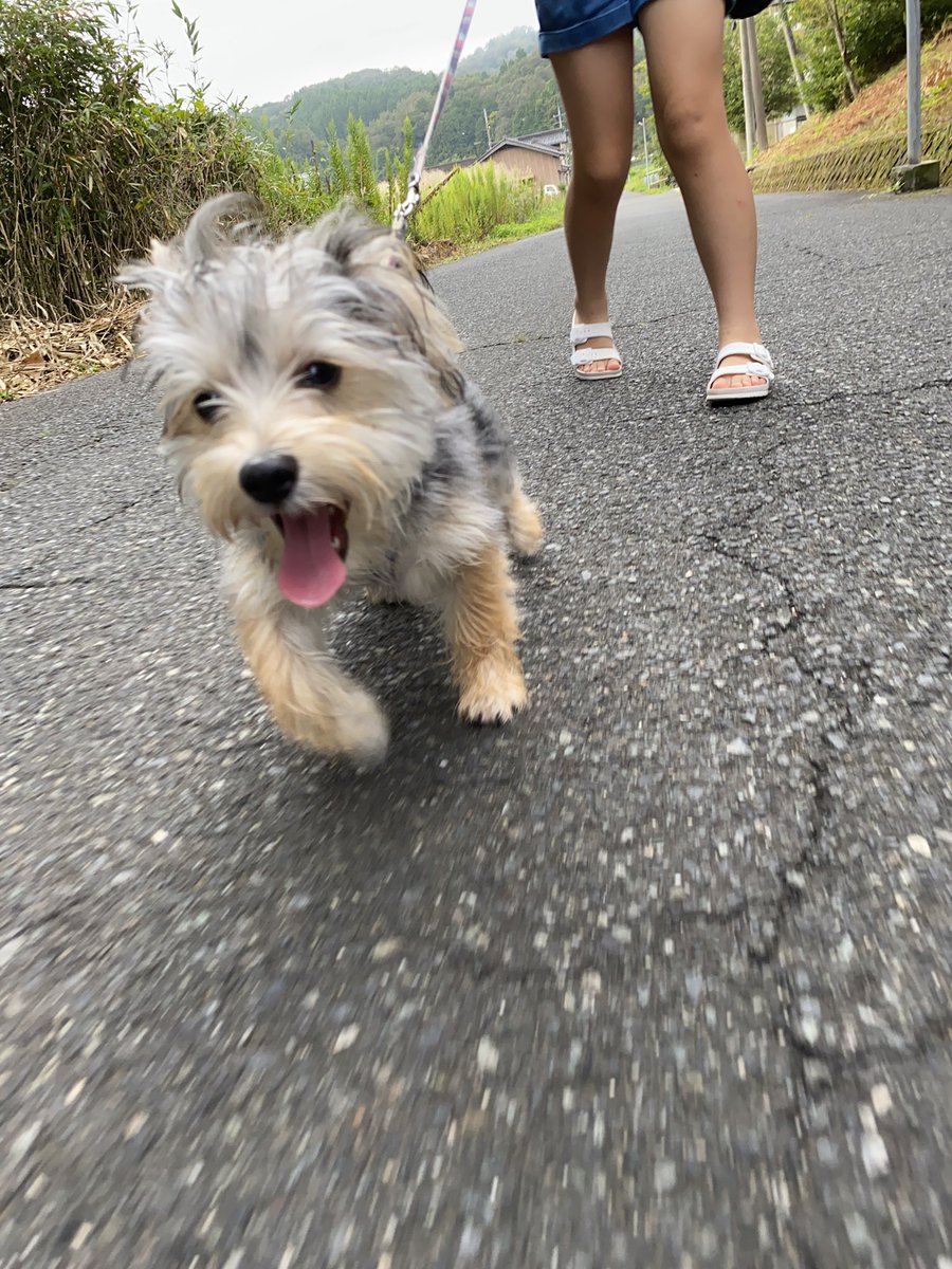 乾燥剤 Twitter Search Twitter