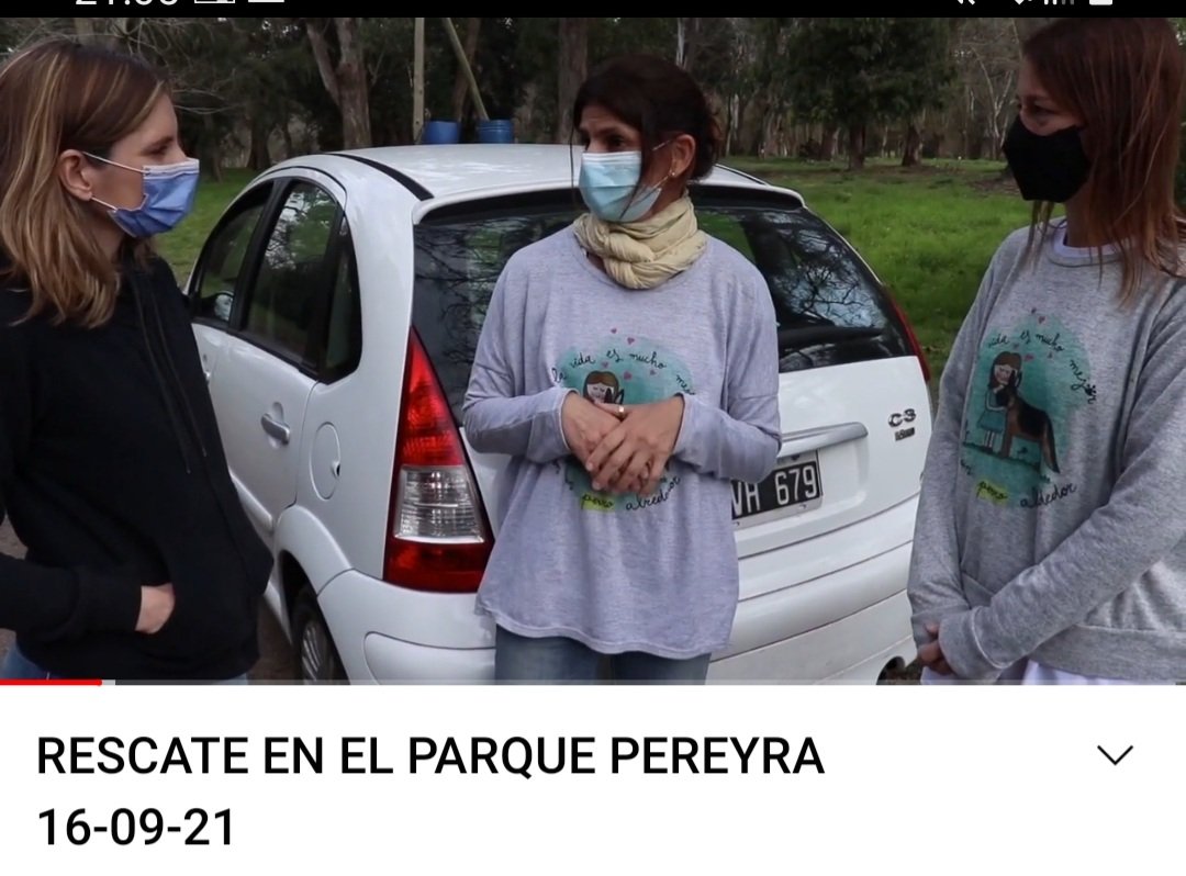 ciudadanos_tv's tweet photo. Reviví el informe sobre #Pichis del Parque Pereyra en la sección #SolucionesCiudadanas
https://t.co/8Brkc21zhj https://t.co/urnmAGqZOf
