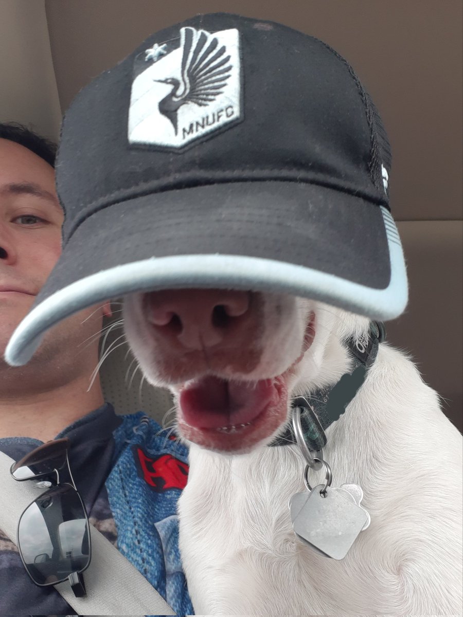 BenTallen's tweet image. #GoLoons