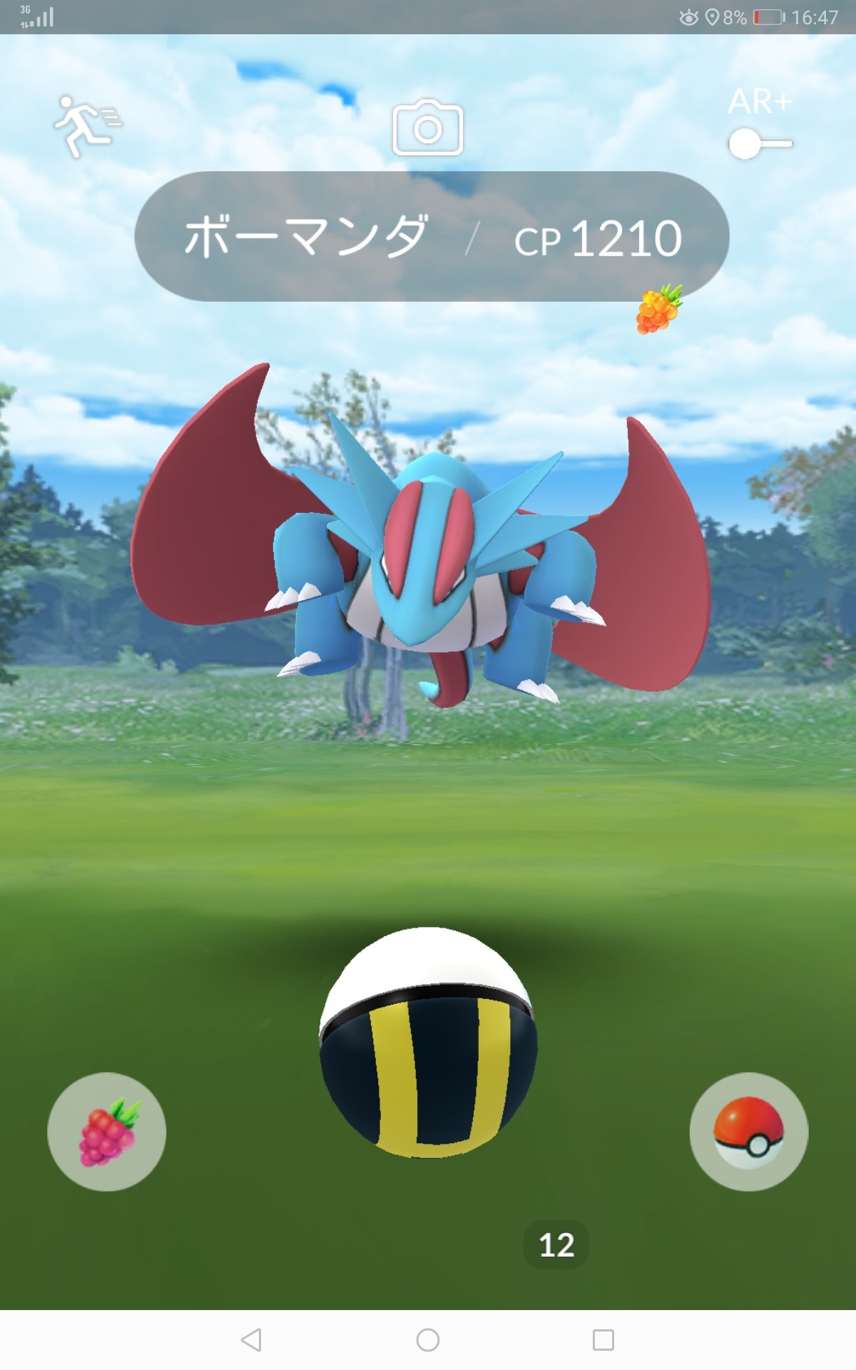 Maryi まりぃ なんか野生のボーマンダいたんですけどwww ポケモンgo ポケモン ボーマンダ T Co T2vchay7gq Twitter