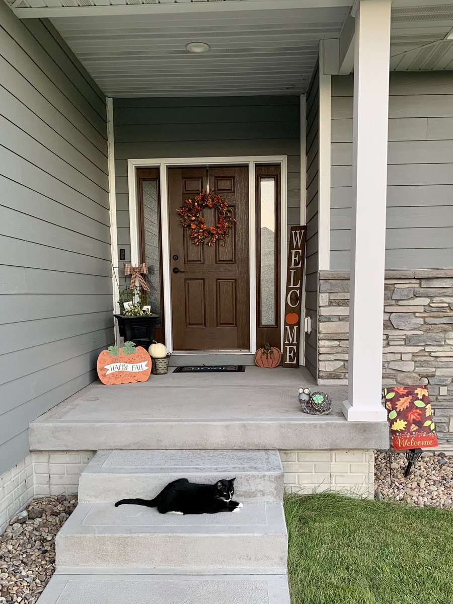 peitzensen's tweet photo. Fall at the Peitzmeier house 🧡

(Including a “spooky” black cat!) https://t.co/kcNn65P7EA
