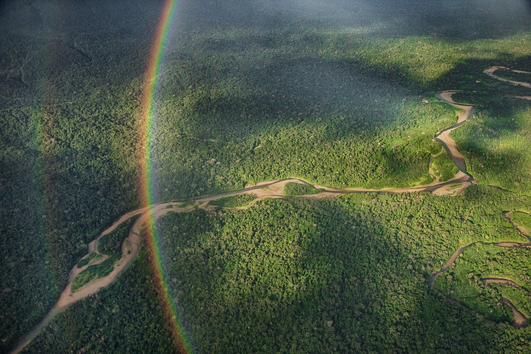 Thanks to a powerful collaboration btwn @rewild, @Coldplay & @GlblCtzn, governors from 3 Brazilian Amazonia states are committing to conservation & climate goals for the irreplaceable Amazon rainforest (📷 @chamiltonjames) Tune into @GlblCtzn now on ABC or stream online.