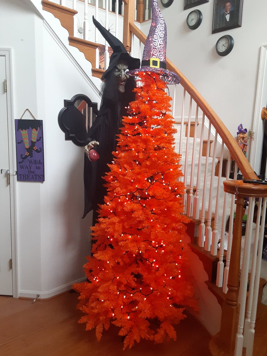 kcrx13's tweet photo. I'm legit jealous of this tree https://t.co/ysuF3iJ2CE