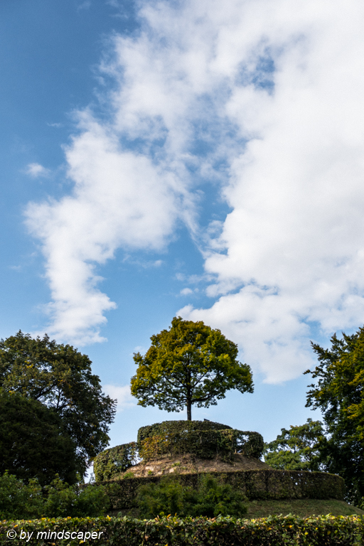 mind_scaper's tweet image. Single Tree on the Small Hill
#tree #singletree #smallhill #summertime #summerclouds 

#berne #bern #bernpictures #bern_pictures
#igersbern #_bernstagram_  #iloveswitzerland #ilovebern #bärnihadigärn #altstadtbern #berneraltstadt #lieberinbärn
#leicaswitzerland #leica