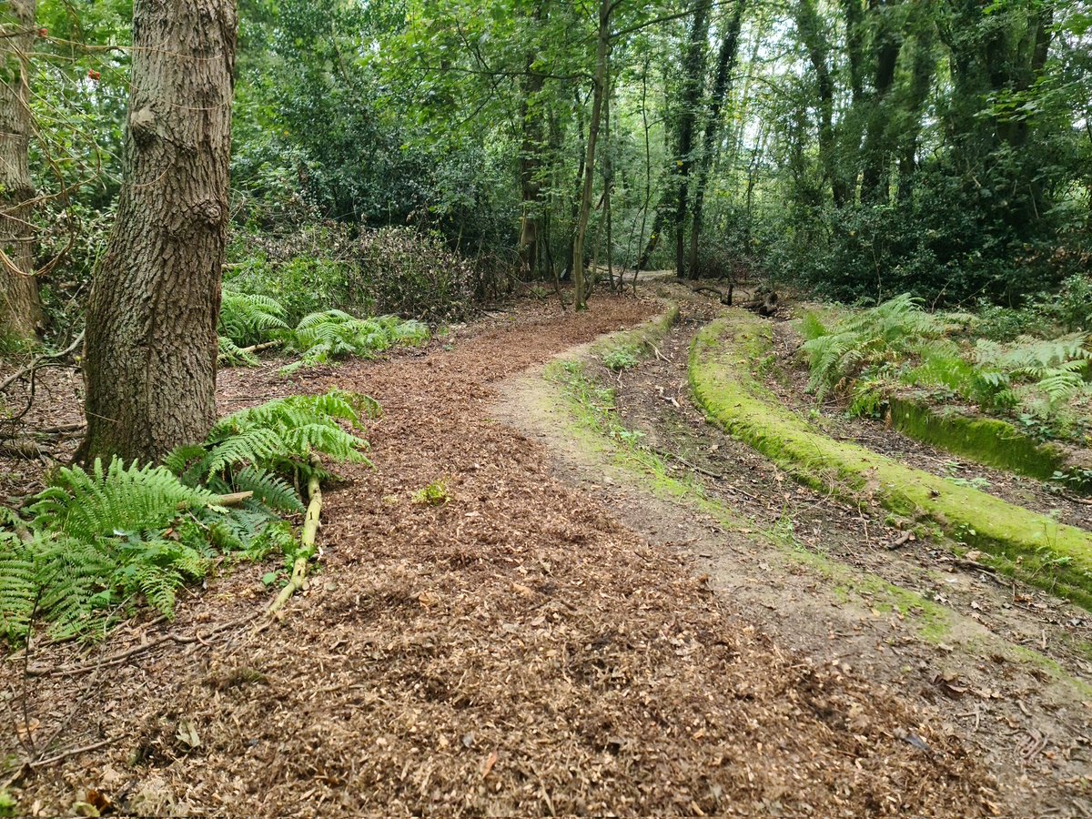 Let's Get Out C.I.C tweet media