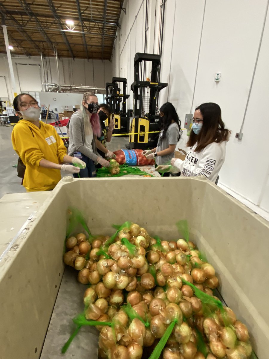 VanessaWSisi's tweet photo. Thanks to the volunteers from @ArmijoHigh who packed fruits &amp; vegetables at the Food Bank of Solano &amp; Contra Costa counties! Team work makes community service fun. #IBToK #CAShours #AHSRoyals https://t.co/LLvHNt2eSG