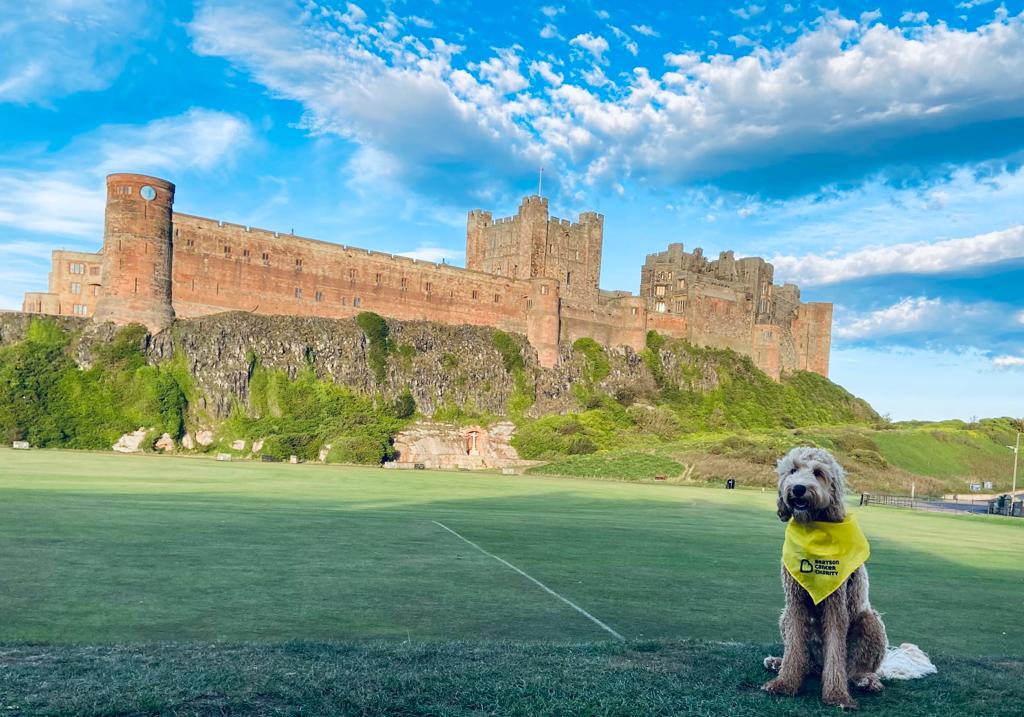 BryanDando1's tweet photo. Cooper has been doing the @Beatson_Charity #PawWalk around #BamburghCastle and #BerwickuponTweed he's having a Pawtastic time #PawWalk2021 #OfftheBeatsonTrack #NationalDogWeek https://t.co/zWgH1BoPbv