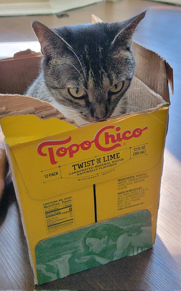 Bell let me have the <a href="/TopoChicoUSA/">Topo Chico</a> as long as she could keep the box.