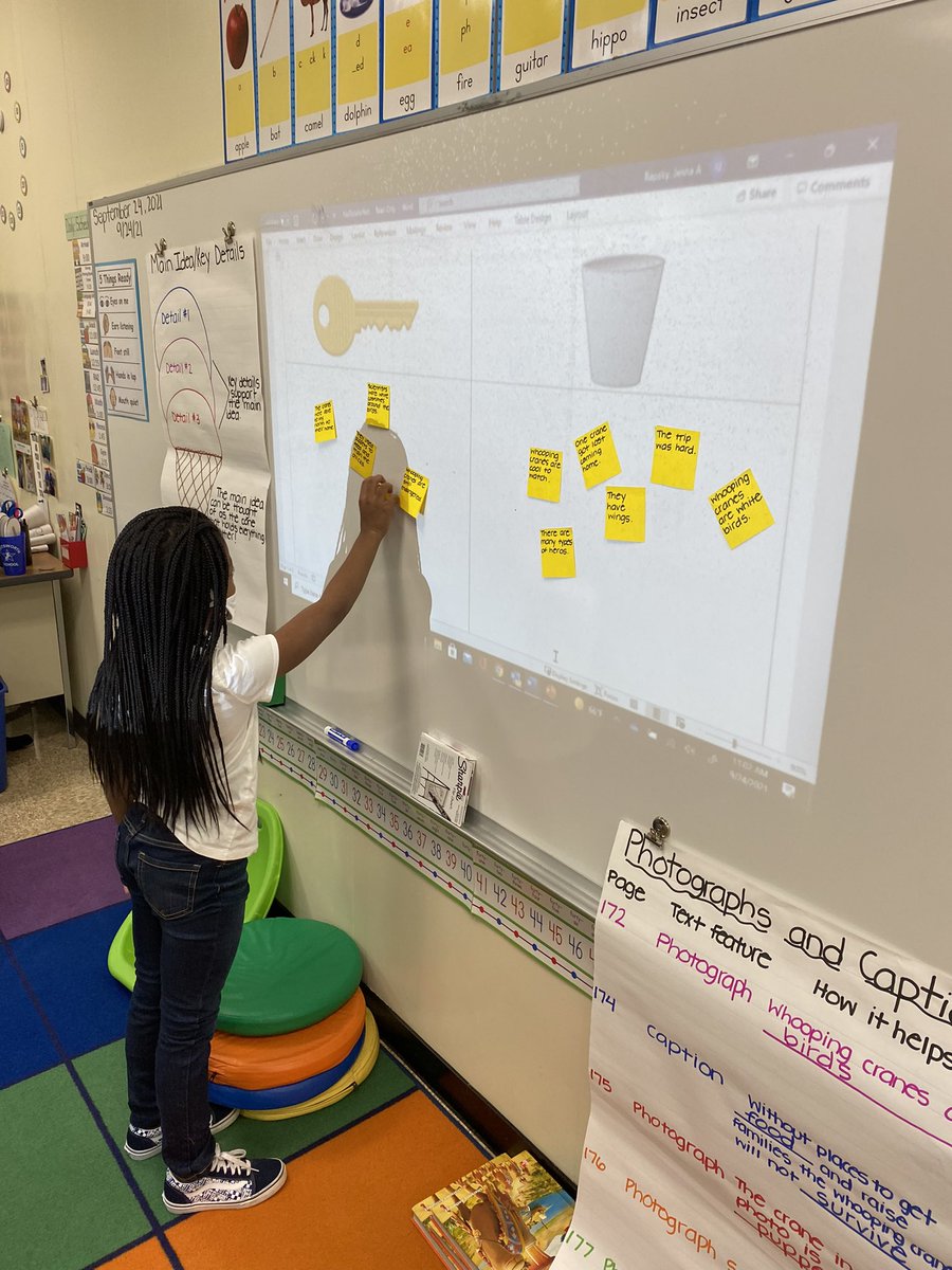 MrsRapsky's tweet photo. Students decided whether information from “Whooping Cranes in Danger” were key details that supported the main idea. https://t.co/geD1nukfq9