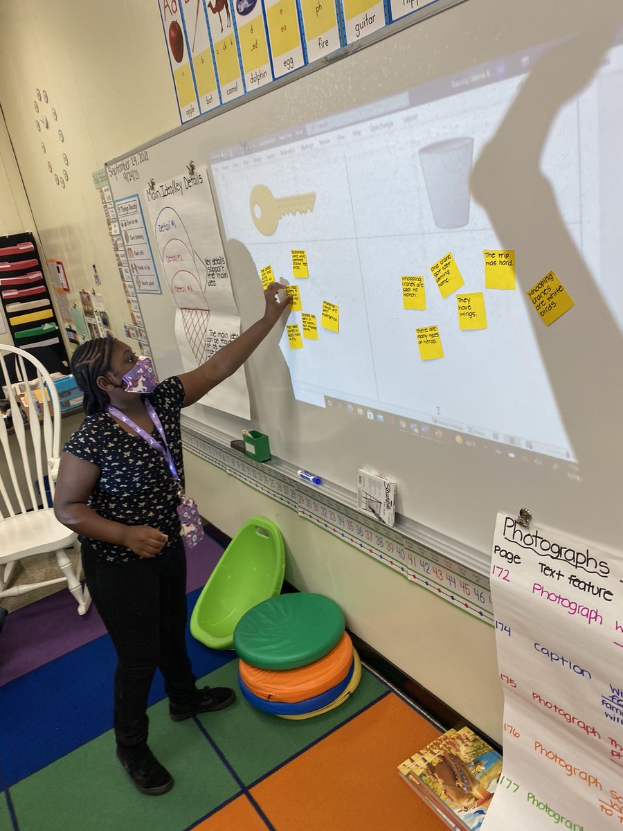 Students decided whether information from “Whooping Cranes in Danger” were key details that supported the main idea.