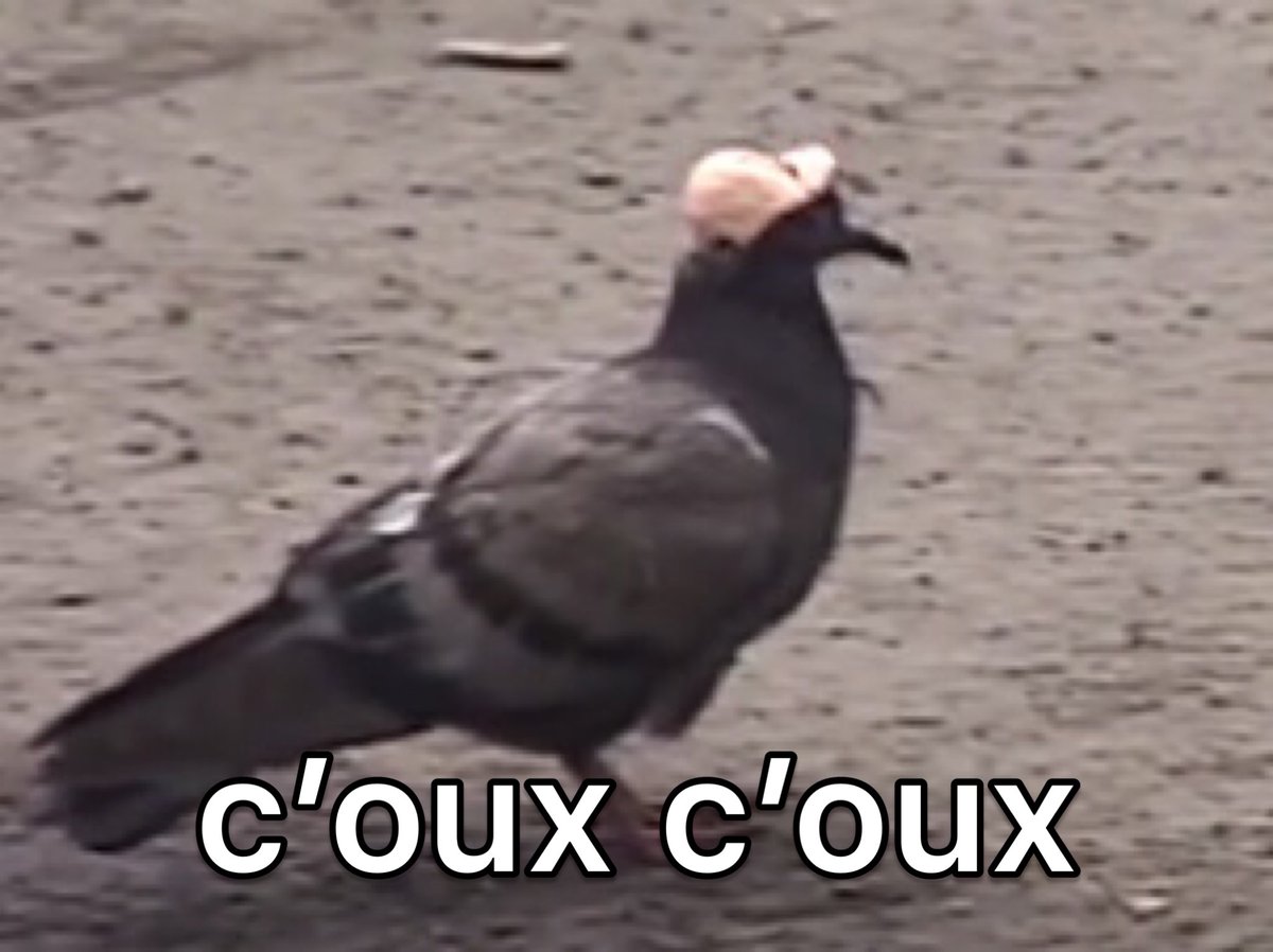 No one:    

French pigeons: