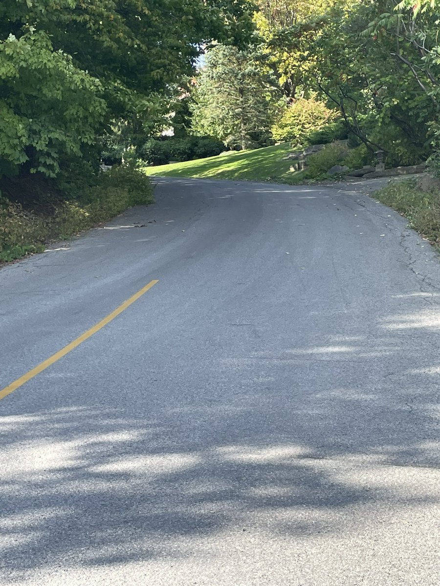 aliki_thomas's tweet photo. Like every year, I have really felt the impact of September (major grant deadlines, back to teaching, commute, kids back to school, and then some…). For this academic, there’s nothing like a brisk walk, the sunshine, the colours and even the smell of wood burning. So soothing… https://t.co/rKVwbkSn1g