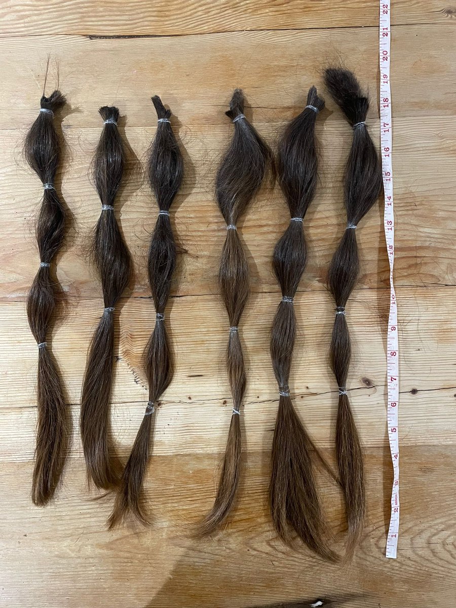 Ellis Devereux tweet media