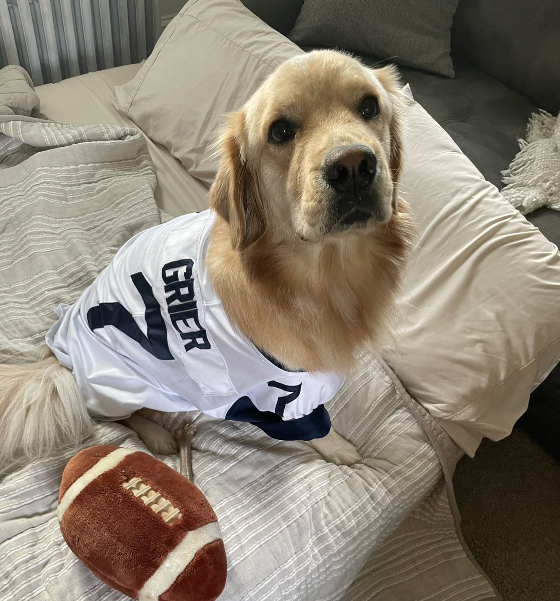 OgAjax's tweet photo. Let’s go Mountaineers! We’re ready to take down Oklahoma! @WVUfootball @WestVirginiaU https://t.co/ooa7r7sYBS