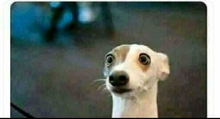 TauCrazy's tweet photo. Fresher after kupatana na mimii nikitoka exam room na nilimbeba jana kwa mat 👇👇 https://t.co/XkKIwjLHU3