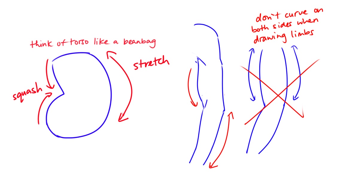 found some old tips i have on drawing bodies and i thought id share them again in case anyone needs them !! :3