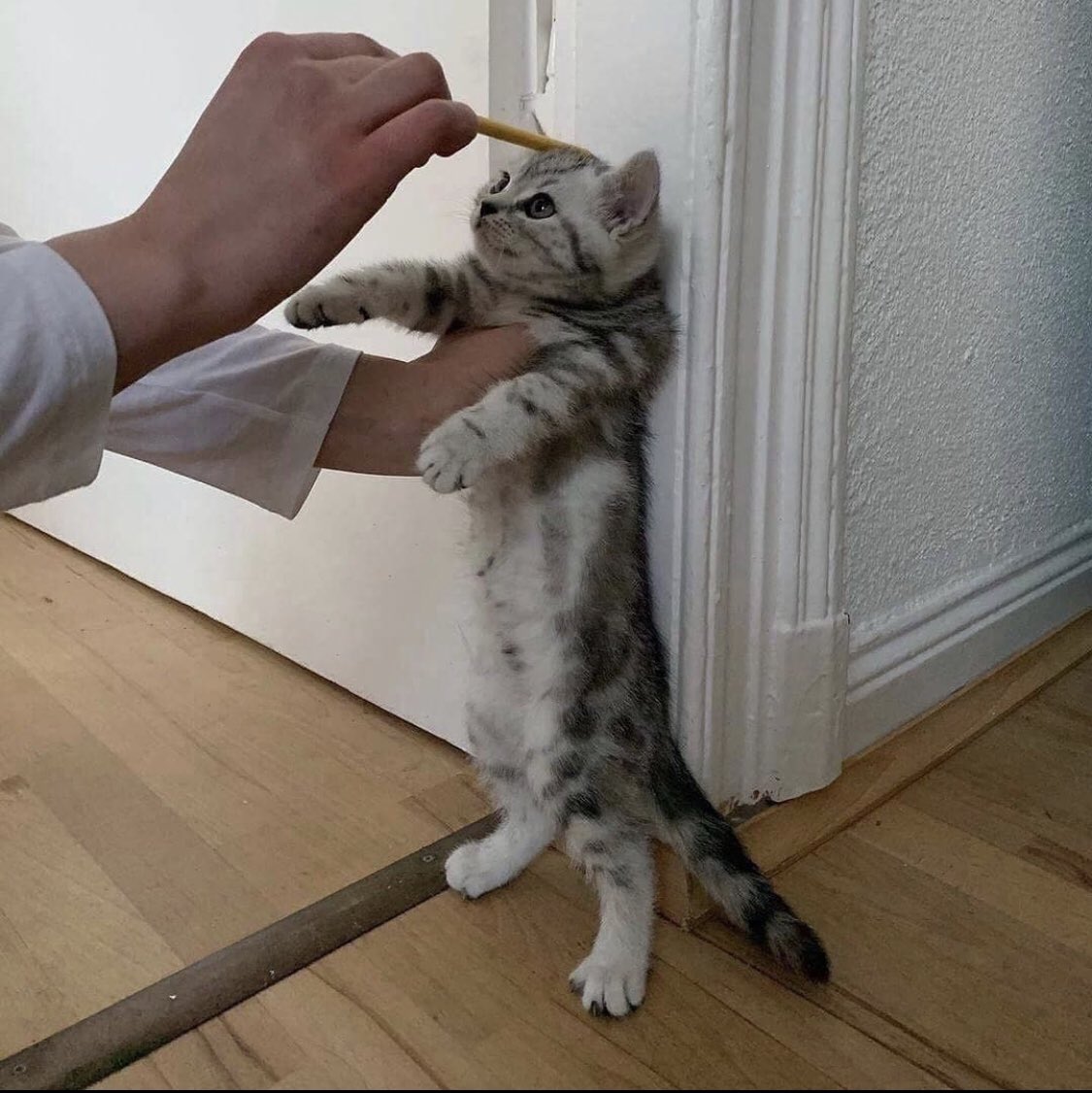They grow up so fast