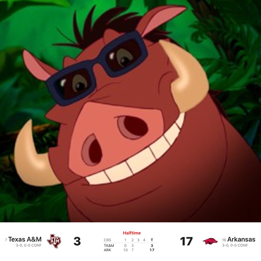 SECNetwork's tweet photo. Arkansas fans at halftime 😎

@RazorbackFB https://t.co/riNx0MZrp3