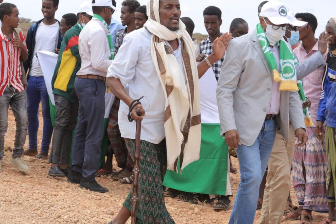 HORSEED PARTY tweet media