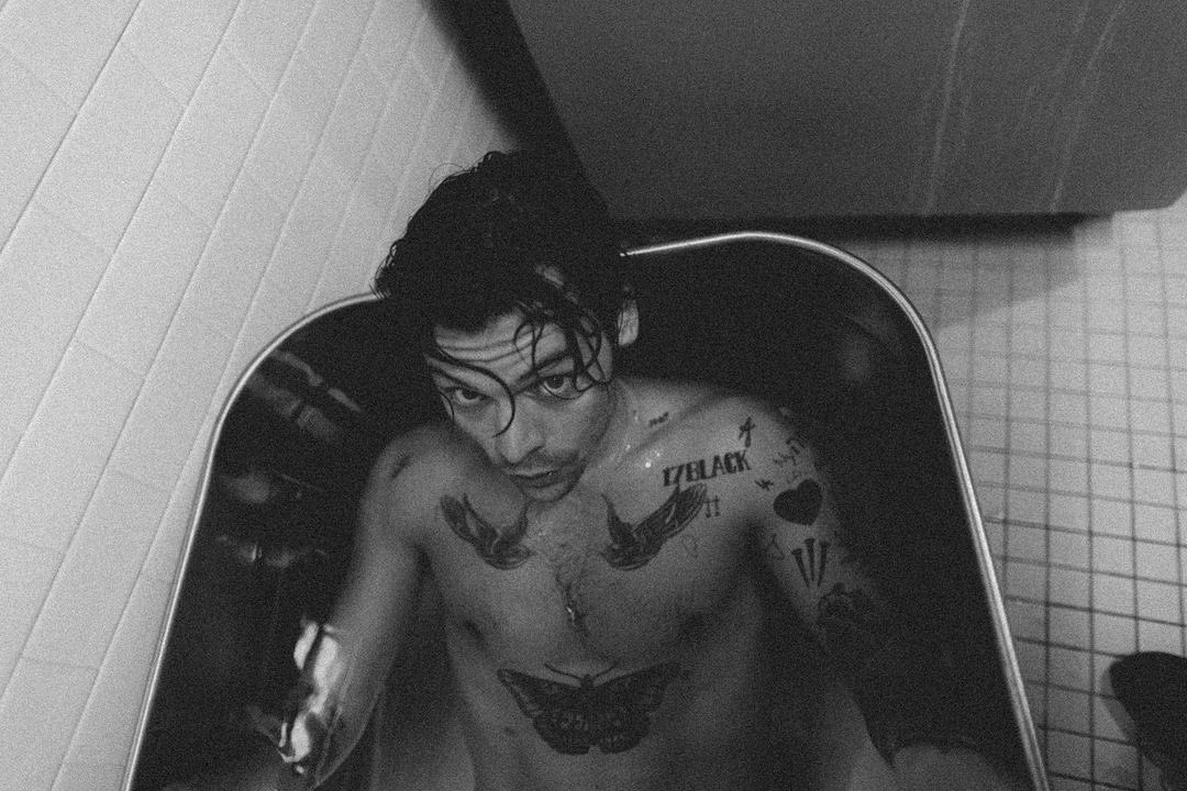 TheHarryNews's tweet photo. harrystyles: Love On Tour. Chicago, IL. I https://t.co/AD6PvFPYKe