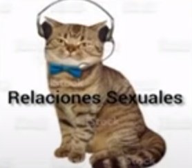 2H1NE's tweet photo. Bueno, como les explico que estoy en un poliamor https://t.co/KxFbbqJ0Cr