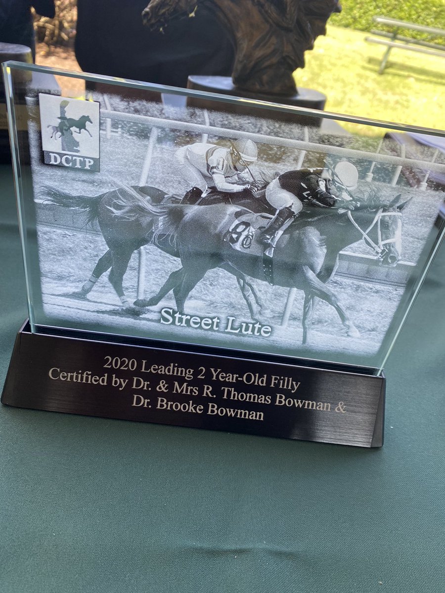 Lucky 7 Stables tweet media