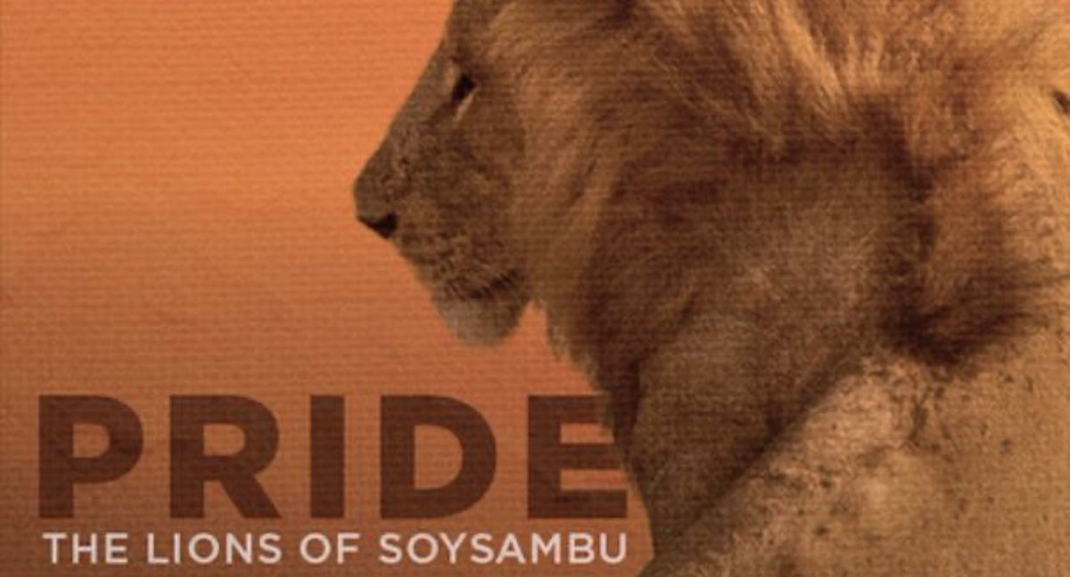 Thank you to everyone who donated or joined the film screening! With your support, we helped raise enough funds for 3 new bomas at <a href="/SoysambuConserv/">Soysambu Conservancy</a>, Kenya. That’s over $9,000 USD in contributions.

If you missed it, you can still see the film here…
fb.watch/8cCyTJInsy/