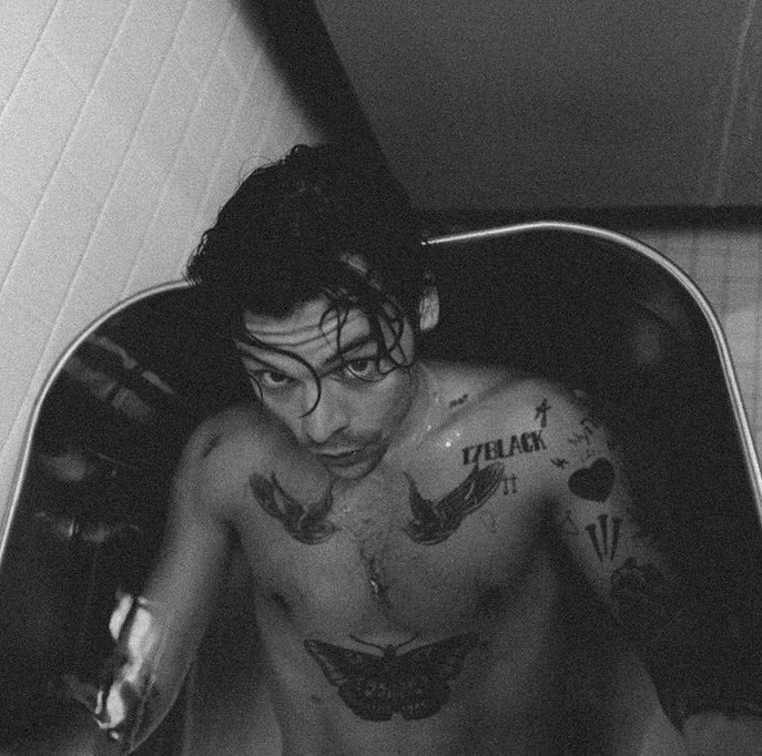 bfhstyles's tweet photo. harry styles shirtless is my obsession https://t.co/DssJfH5CUR