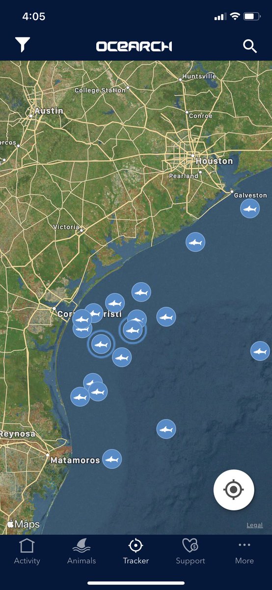EmilyZipps's tweet photo. My wife downloaded me an app where you can track sharks EVERYWHERE and see where they’ve been, and the comments on each active shark are simply pure joy. Also look how swimmy he is!! #AlwaysSharkWeek https://t.co/xjbVo894mg