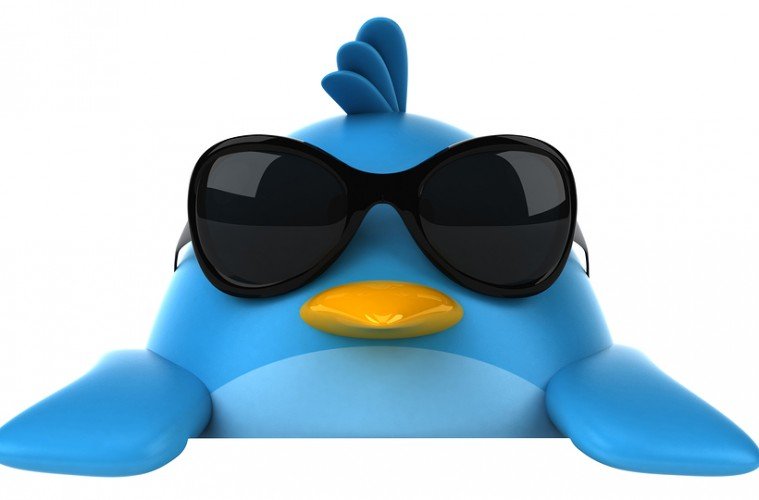 microfigure's tweet photo. Birdpals
                                    Gam e https://t.co/JKFlXk8Dyq