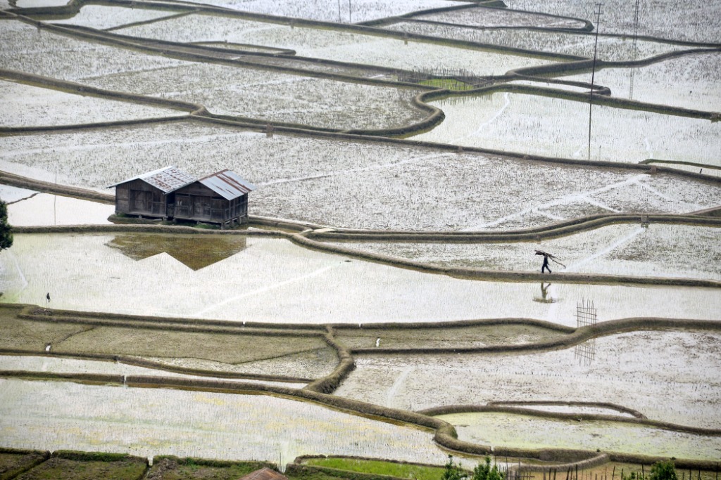 NGTIndia's tweet photo. #DailyShot: In our #AerialAngles pick for today, Sirsendu Gayen captures the idyllic landscape of #ZiroValley, with its patchwork of #paddies where residents practise rice cultivation and pisciculture together.
Send us your #DailyShot entries at contest@natgeotraveller.in. https://t.co/jDu9sgKgsK