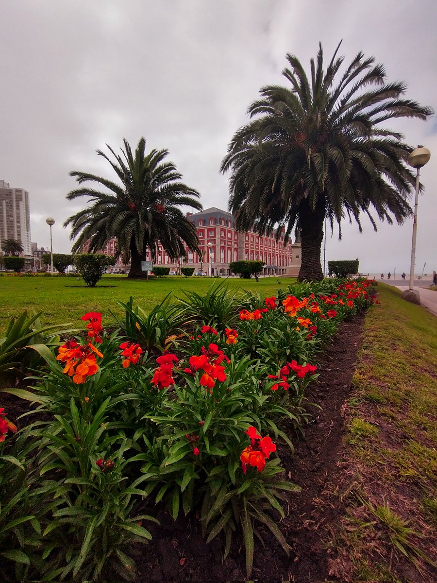 holboxpics's tweet photo. #primavera nublada en #MarDelPlata #mdp #mdq https://t.co/uhb6W70r5h