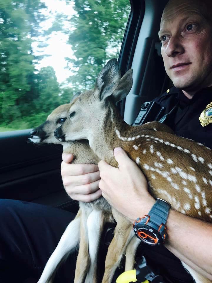 In #WV? Please consider registering to donate blood in honor of our friend, Lt. Aaron Acree

Thank you <a href="/ArmorupW/">ArmorupWV</a> for the work they do for #FirstResponders &amp; thank you to the donors &amp; volunteers ❤️

Sign up w/zip code 26651: redcrossblood.org/donate-blood/m… #redcross #WestVirginia #PTSD