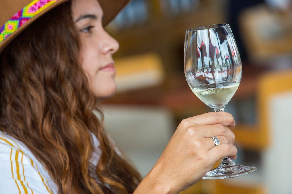 patys_fuckworld's tweet photo. Normalmente soy yo la que toma las fotografías, pero de vez en cuando me toman uno que otro paparazzi.

Estas fotos son durante un increíble recorrido por algunos viñedos de #Querétaro. 🍷🧀

Gracias a la #AVQ, @QroTravel y @gobqro 📸❤️ https://t.co/qky0nGAZKw