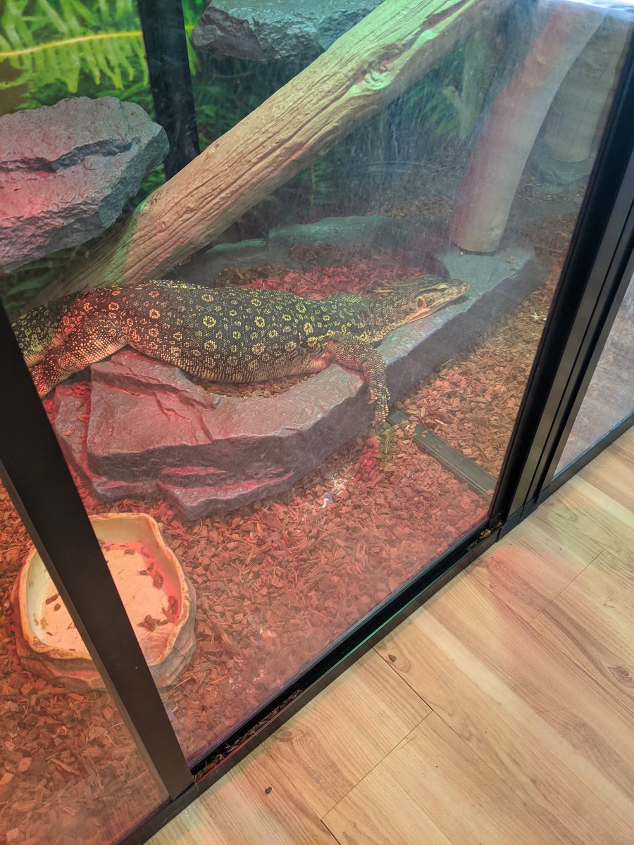 Curious Creatures LLC tweet media