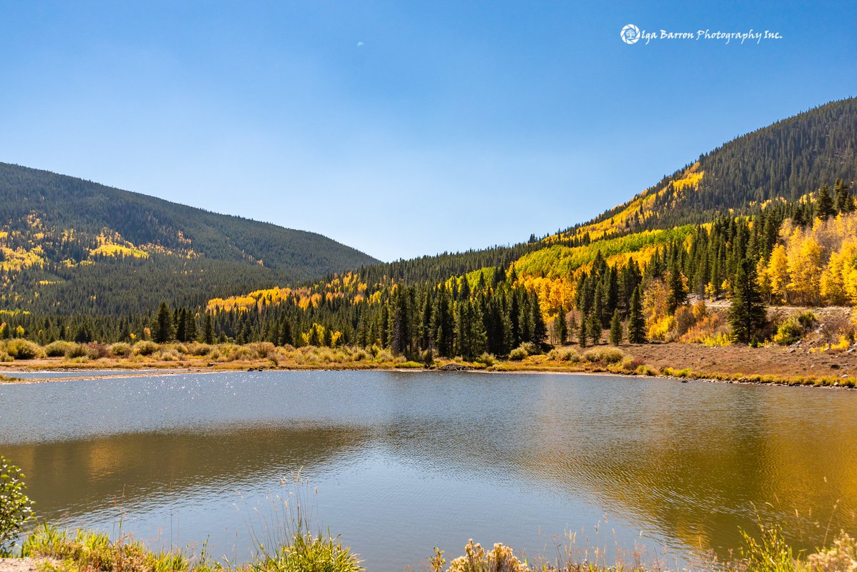 olgabarronphoto's tweet photo. Camp Hale at noon. #camphalecolorado #coloradofallcolors #highcountryfoliage https://t.co/0SfH0ktriS