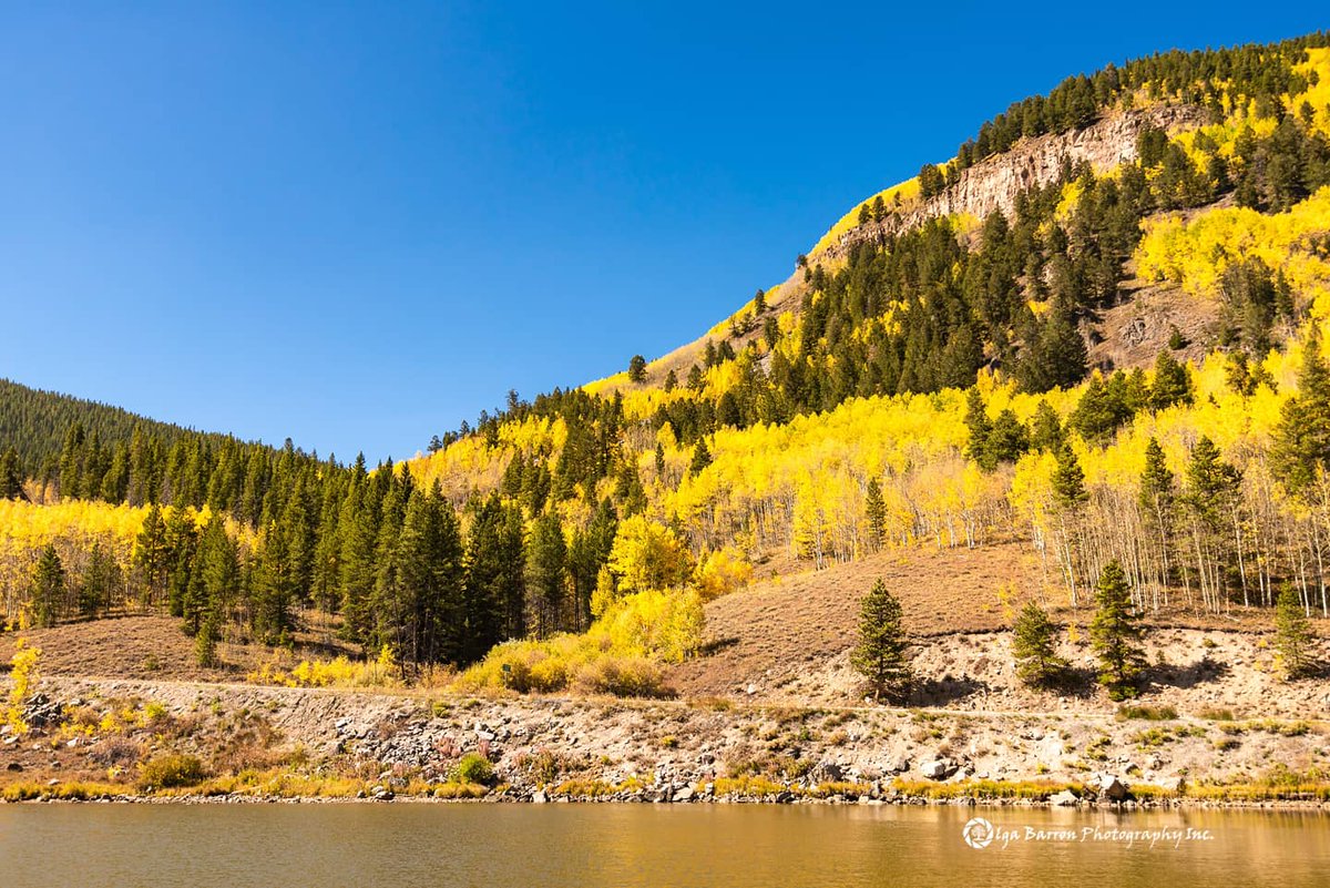 olgabarronphoto's tweet photo. Camp Hale at noon. #camphalecolorado #coloradofallcolors #highcountryfoliage https://t.co/0SfH0ktriS