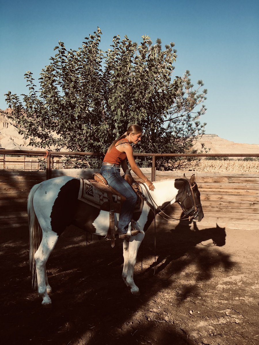 2yr old high flying cat, stud colt, 4th ride, and head dropped/ half asleep. Pretty dang excited for this boy