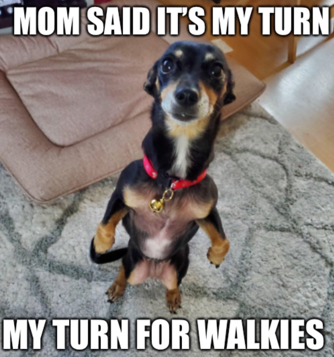 Kigner (@kignener) on Twitter photo 